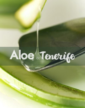  jugo natural de aloe vera